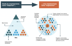 Comparación entre una Organización Tradicional y una Agile